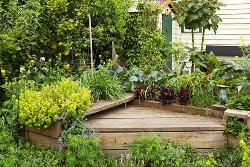 Garden Sustainability Garden